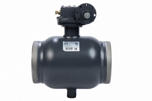 Ридан RJIP Premium (Премиум) 065N0167GR — Кран шаровой WW DN300 PN25 GF (приварной, под привод, стандартный проход)